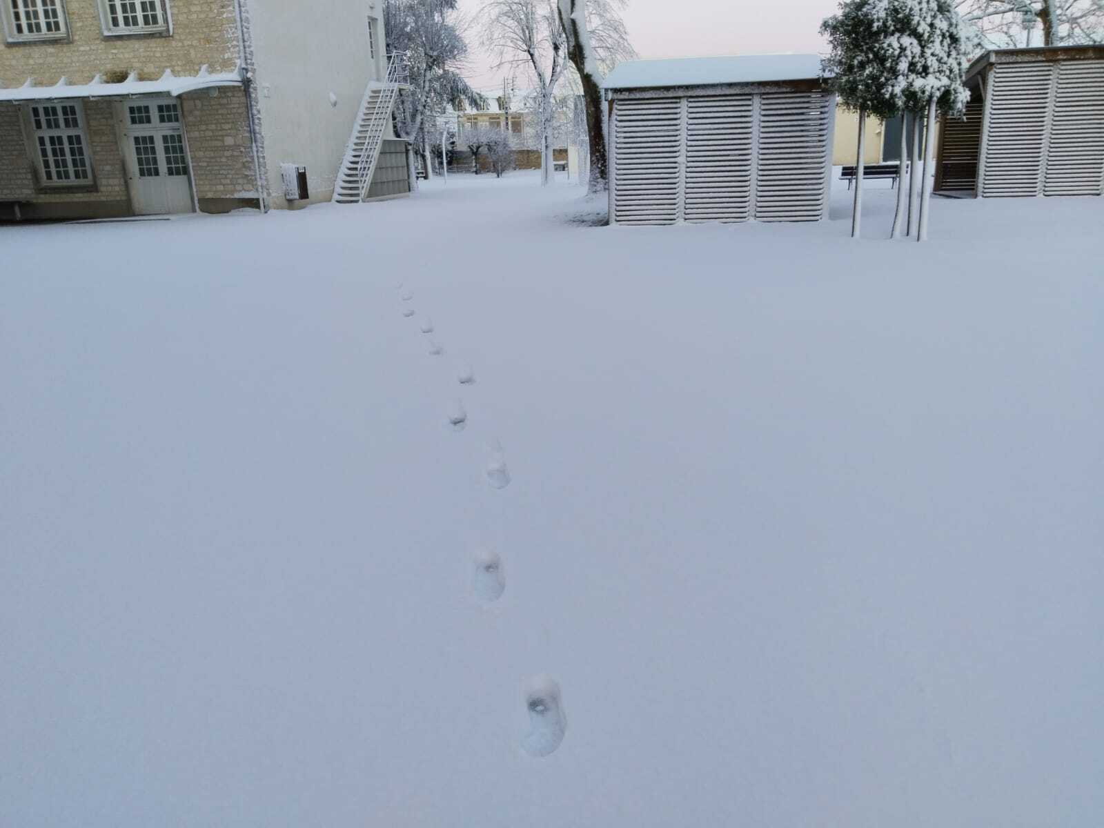 14cc29c5-8cf7-49ab-9acc-c465ec54e443