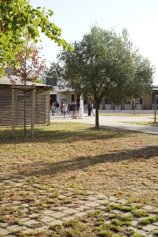 DSC01542