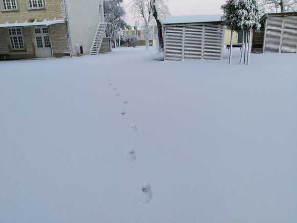 14cc29c5-8cf7-49ab-9acc-c465ec54e443