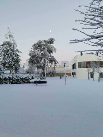 2a2cd9ab-c405-42ee-afe6-3f8fe14948c3