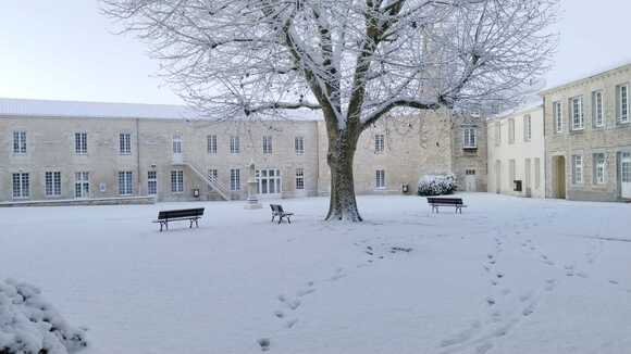 b26de733-2ed7-4491-bac0-d54687f47bbf