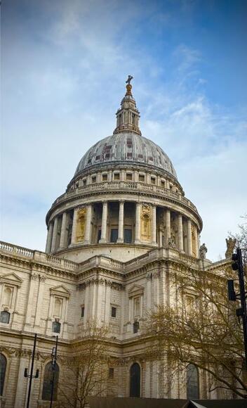 IMG_8564
